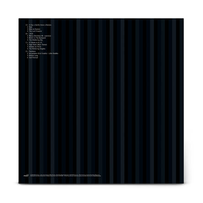 Ryuichi Sakamoto - 1996 - LP